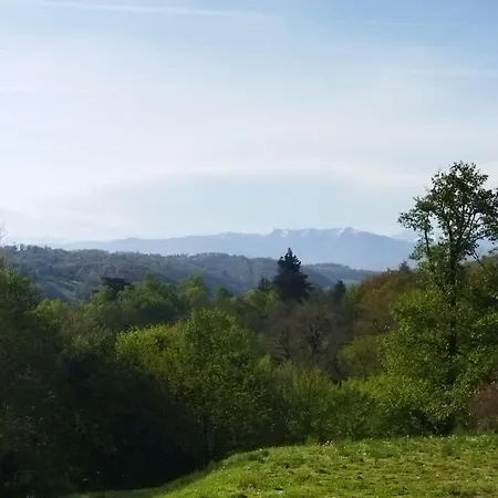 Domaine De La Tisnere Bed & Breakfast Gelos