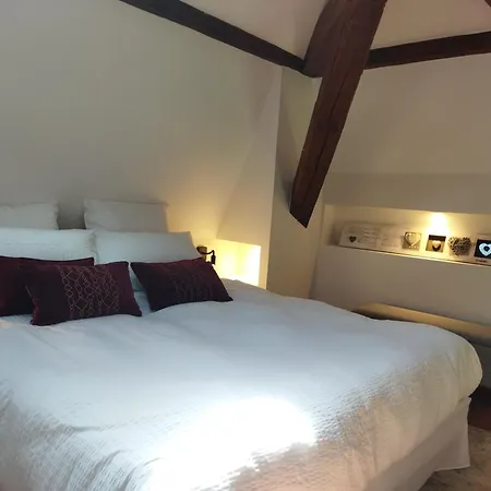 Bed & Breakfast Domaine De La Tisnere Gelos